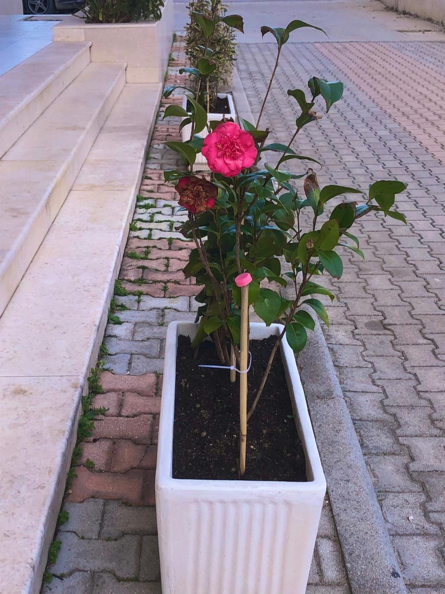 Vlore Apartment Eksteriør billede